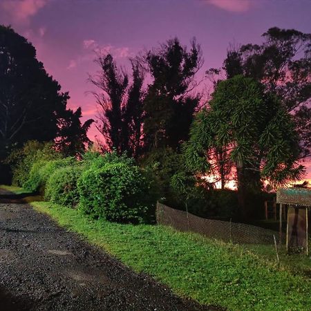 Natures Retreat Hotels And Resorts Udagamandalam Exterior photo